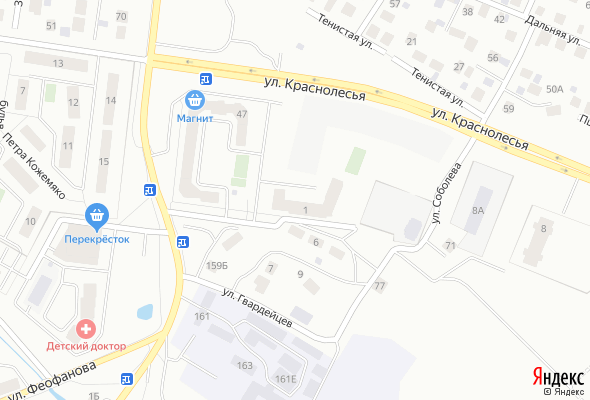 ЖК Электродом Смородина+