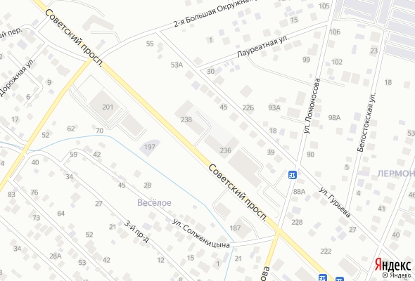 ЖК Советский Проспект 236-238