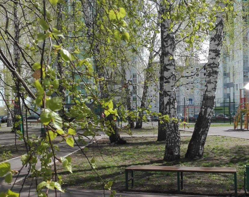 ЖК Берёзовая роща