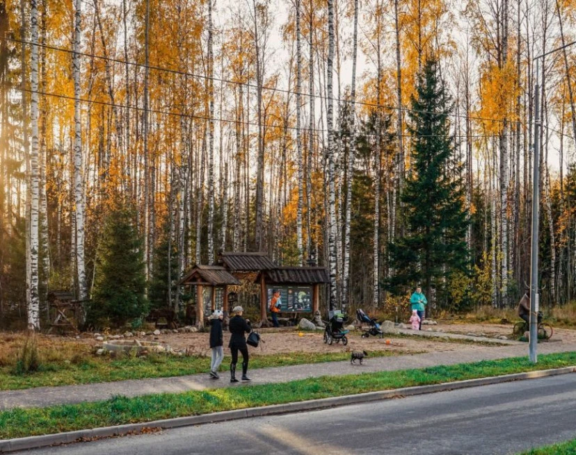 ЖК Новое Сертолово