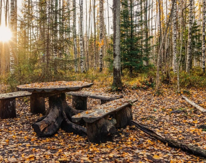 ЖК Новое Сертолово