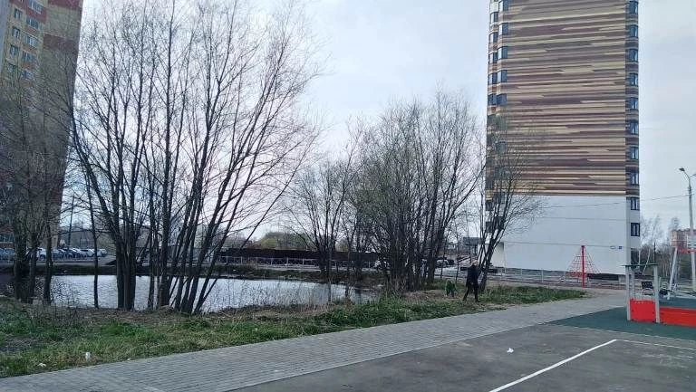 ЖК Истомкино