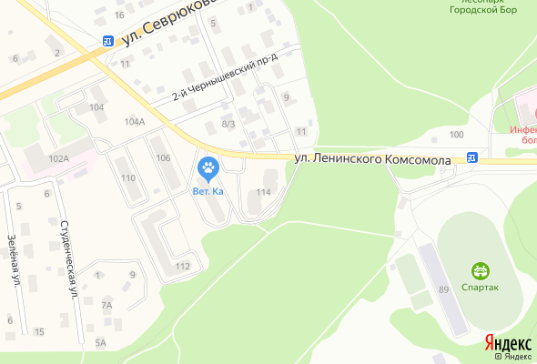 ЖК Ленина 114