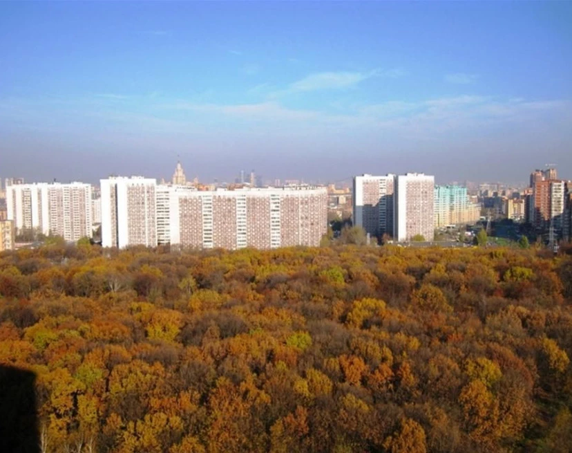ЖК Воронцово