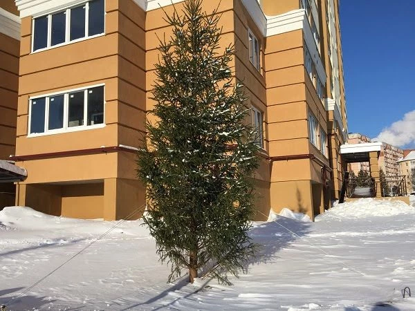 ЖК Костычев
