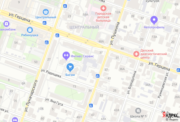 ЖК Пушкина 24