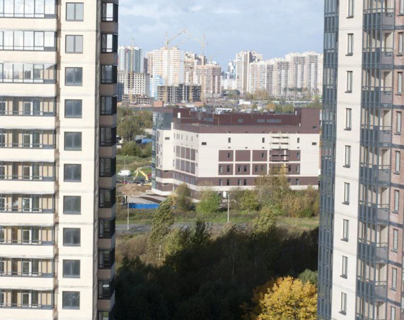 ЖК Репка