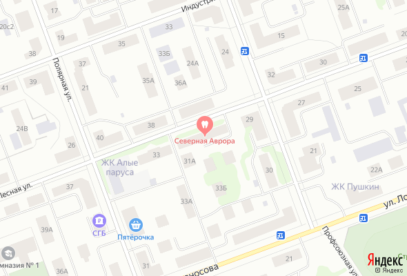 ЖК Лесной