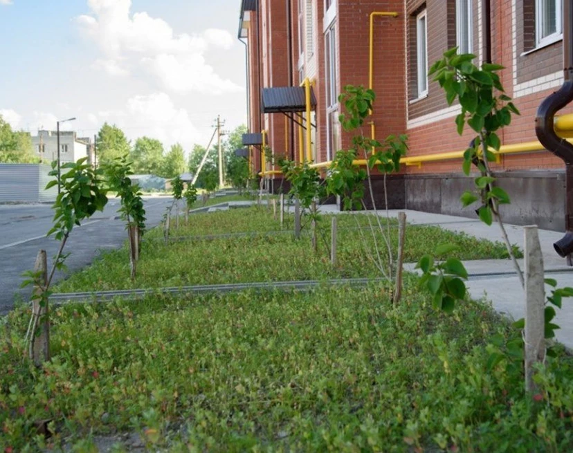 ЖК Сирень